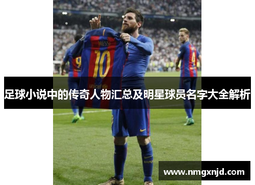 足球小说中的传奇人物汇总及明星球员名字大全解析