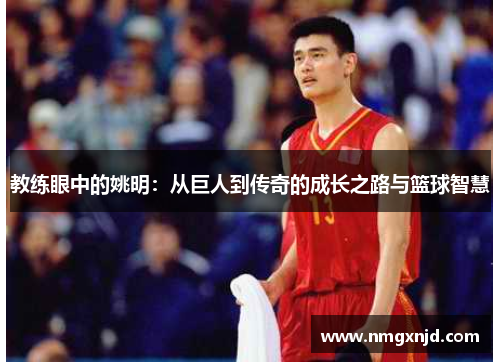 教练眼中的姚明：从巨人到传奇的成长之路与篮球智慧